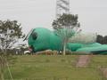DSCN3239.jpg